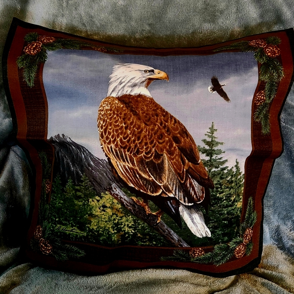 Throw Pillow